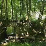 Magnifique A La Campagne Avec Piscine Willa *