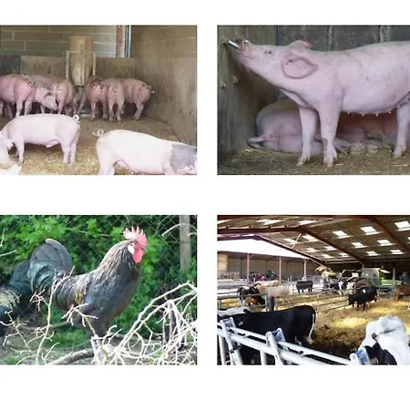 Villa Magnifique A La Campagne Avec Piscine *