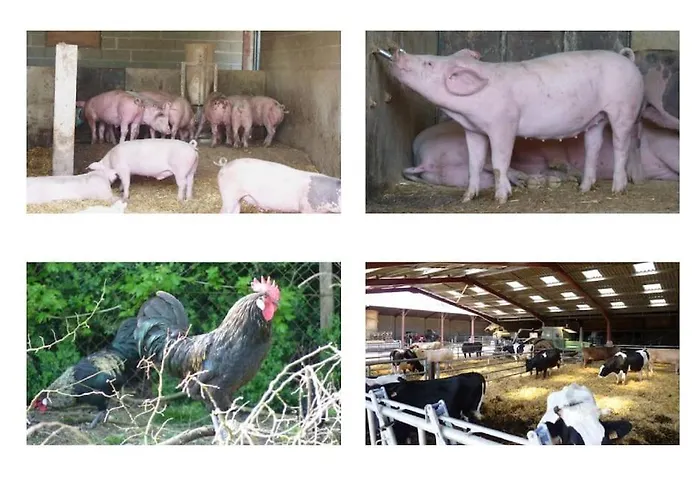 Βίλα Magnifique A La Campagne Avec Piscine *